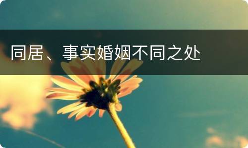同居、事实婚姻不同之处