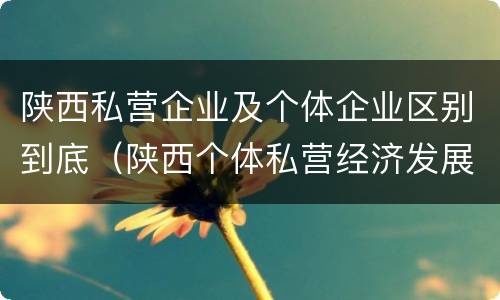 陕西私营企业及个体企业区别到底（陕西个体私营经济发展综合服务平台）