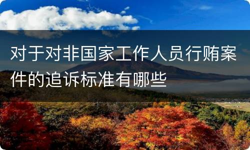 对于对非国家工作人员行贿案件的追诉标准有哪些