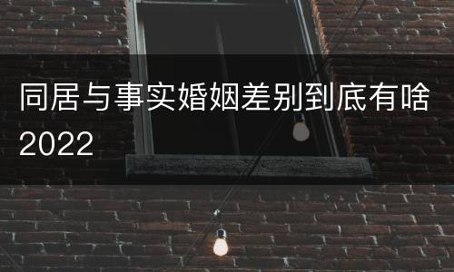 同居与事实婚姻差别到底有啥2022