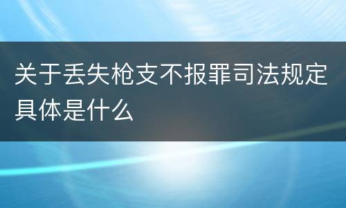 关于丢失枪支不报罪司法规定具体是什么