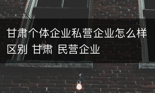 甘肃个体企业私营企业怎么样区别 甘肃 民营企业