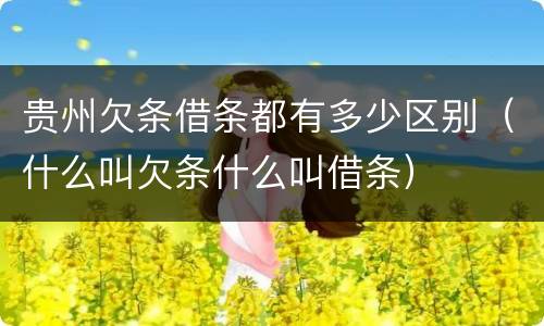 贵州欠条借条都有多少区别（什么叫欠条什么叫借条）