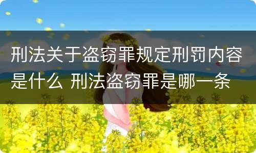刑法关于盗窃罪规定刑罚内容是什么 刑法盗窃罪是哪一条