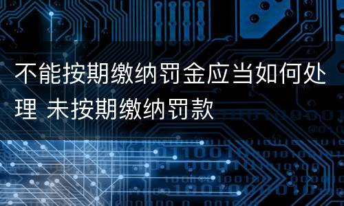 不能按期缴纳罚金应当如何处理 未按期缴纳罚款