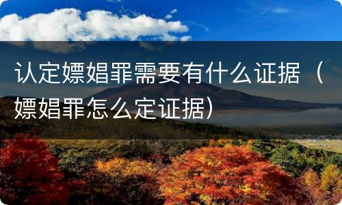 认定嫖娼罪需要有什么证据（嫖娼罪怎么定证据）