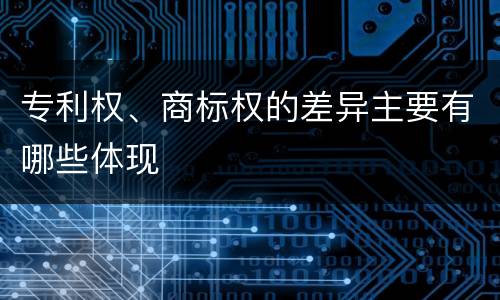 专利权、商标权的差异主要有哪些体现