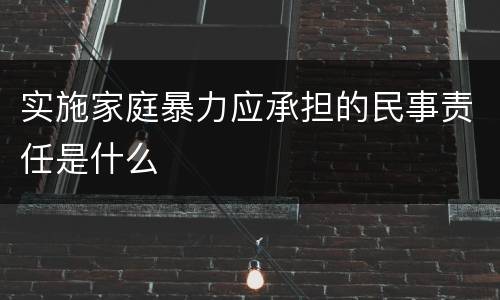 实施家庭暴力应承担的民事责任是什么
