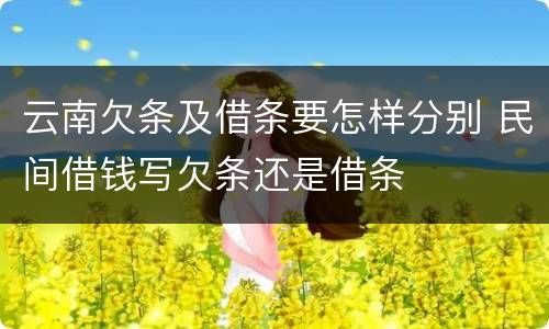 云南欠条及借条要怎样分别 民间借钱写欠条还是借条