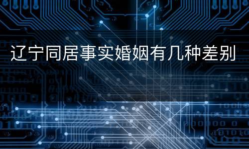 辽宁同居事实婚姻有几种差别