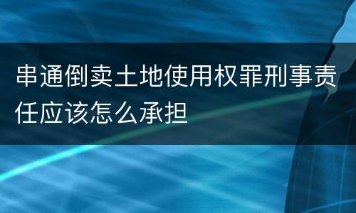 串通倒卖土地使用权罪刑事责任应该怎么承担