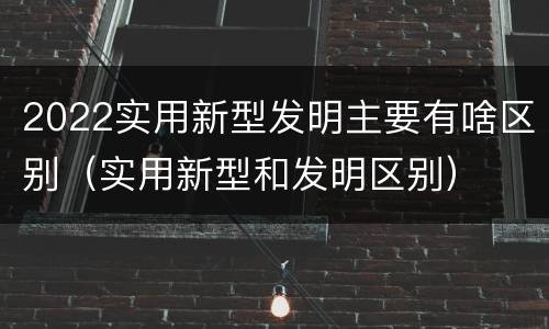 2022实用新型发明主要有啥区别（实用新型和发明区别）