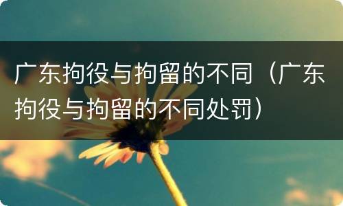 广东拘役与拘留的不同（广东拘役与拘留的不同处罚）