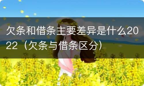 欠条和借条主要差异是什么2022（欠条与借条区分）