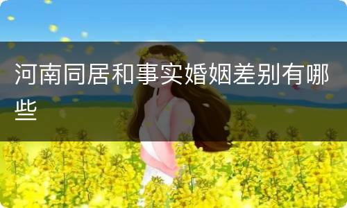 河南同居和事实婚姻差别有哪些