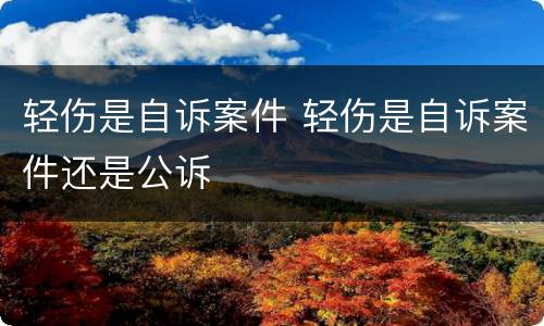 轻伤是自诉案件 轻伤是自诉案件还是公诉