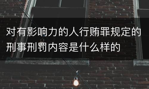 对有影响力的人行贿罪规定的刑事刑罚内容是什么样的