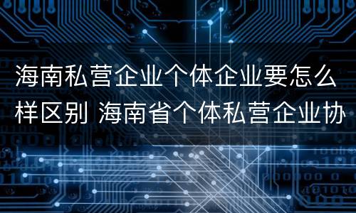 海南私营企业个体企业要怎么样区别 海南省个体私营企业协会