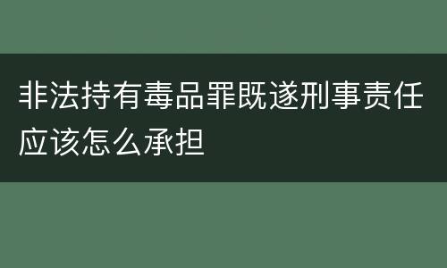 非法持有毒品罪既遂刑事责任应该怎么承担