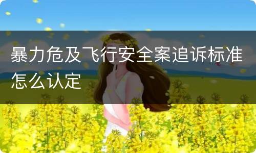 暴力危及飞行安全案追诉标准怎么认定