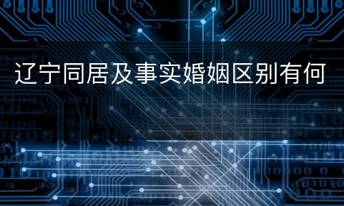 辽宁同居及事实婚姻区别有何