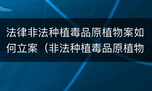 法律非法种植毒品原植物案如何立案（非法种植毒品原植物罪治安管理）
