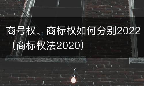 商号权、商标权如何分别2022（商标权法2020）