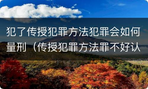犯了传授犯罪方法犯罪会如何量刑（传授犯罪方法罪不好认定）