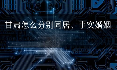 甘肃怎么分别同居、事实婚姻