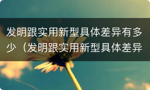 发明跟实用新型具体差异有多少（发明跟实用新型具体差异有多少种）