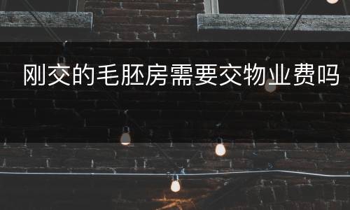  刚交的毛胚房需要交物业费吗