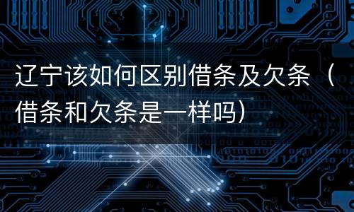 辽宁该如何区别借条及欠条（借条和欠条是一样吗）