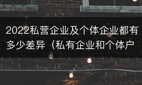 2022私营企业及个体企业都有多少差异（私有企业和个体户一样吗）