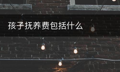  孩子抚养费包括什么