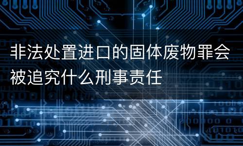 非法处置进口的固体废物罪会被追究什么刑事责任