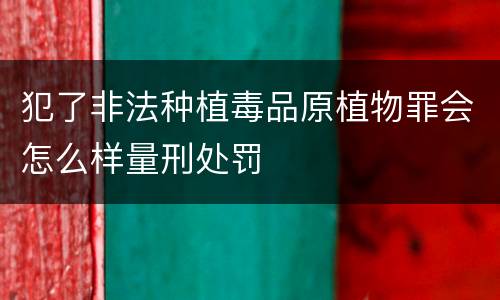 犯了非法种植毒品原植物罪会怎么样量刑处罚