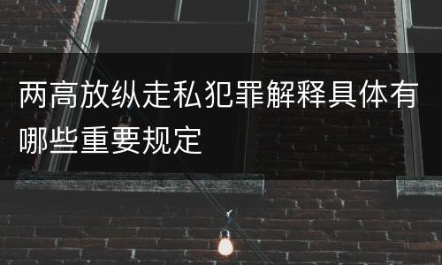 两高放纵走私犯罪解释具体有哪些重要规定