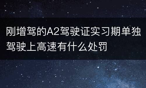 刚增驾的A2驾驶证实习期单独驾驶上高速有什么处罚