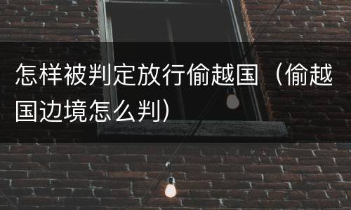 怎样被判定放行偷越国（偷越国边境怎么判）