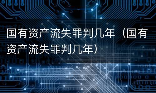 国有资产流失罪判几年（国有资产流失罪判几年）