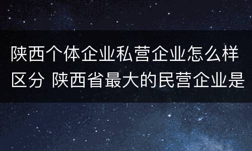 陕西个体企业私营企业怎么样区分 陕西省最大的民营企业是什么公司