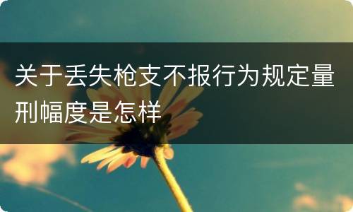 关于丢失枪支不报行为规定量刑幅度是怎样