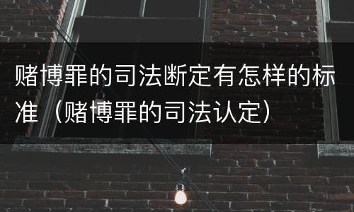 赌博罪的司法断定有怎样的标准（赌博罪的司法认定）