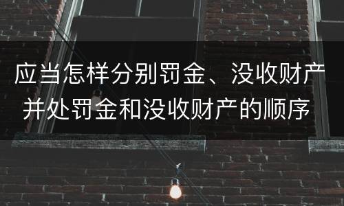 应当怎样分别罚金、没收财产 并处罚金和没收财产的顺序