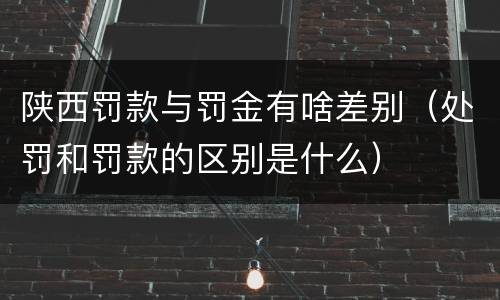 陕西罚款与罚金有啥差别（处罚和罚款的区别是什么）