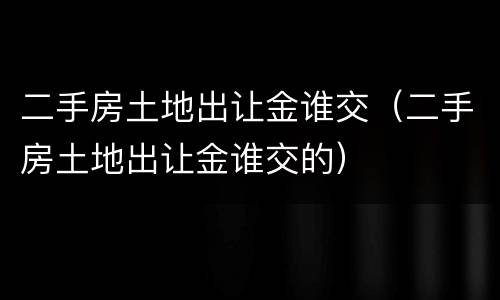 二手房土地出让金谁交（二手房土地出让金谁交的）