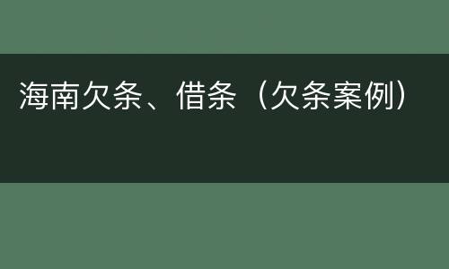 海南欠条、借条（欠条案例）