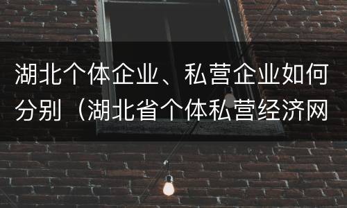 湖北个体企业、私营企业如何分别（湖北省个体私营经济网）