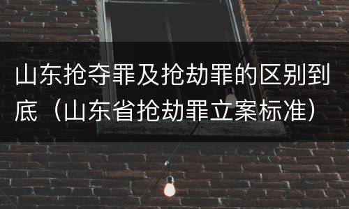 山东抢夺罪及抢劫罪的区别到底（山东省抢劫罪立案标准）