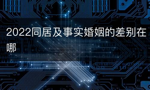 2022同居及事实婚姻的差别在哪